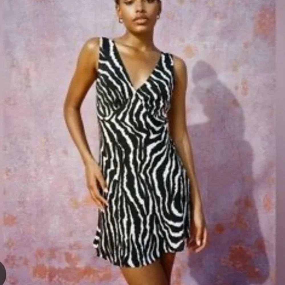 REALISATION PAR Isabelli Dress in Zebra Print